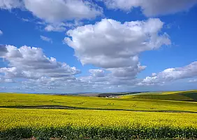 turistipercaso cape-town-mare-3wn39