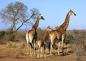 turistipercaso cape-town-mare-4t757