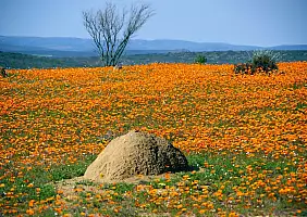 turistipercaso cape-town-mare-6y3g6