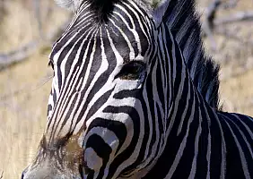 turistipercaso cape-town-mare-7fb53