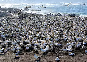 turistipercaso cape-town-mare-e2yqu