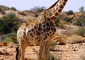 turistipercaso cape-town-mare-kwt4z