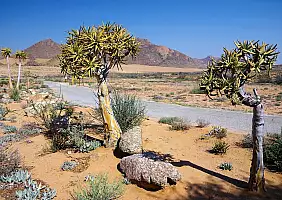 turistipercaso cape-town-mare-neyxy