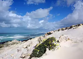 turistipercaso cape-town-mare-numm2
