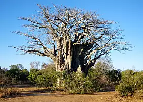 turistipercaso cape-town-mare-s14v2