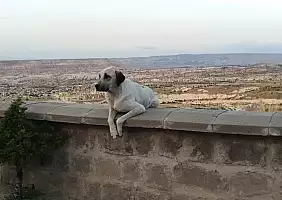 turistipercaso cappadocia-x42j1