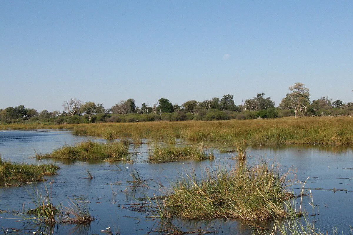 mamili national park