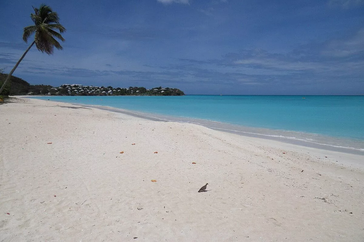 Crociera nei Caraibi