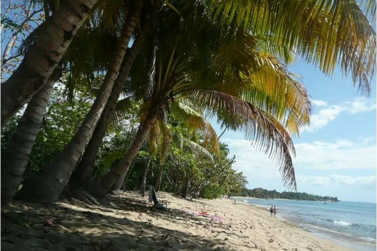 Ricon. Spiaggia de Tres Palmas. Puerto Rico.