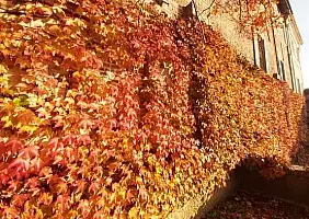 turistipercaso casale-monferrato-2cmyg