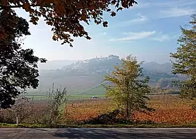 turistipercaso casale-monferrato-vfrg8
