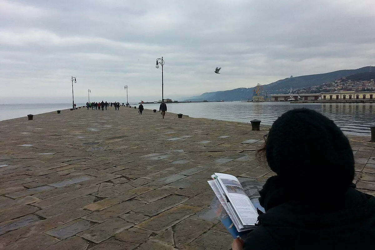 il molo audace