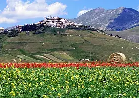 turistipercaso castelluccio-di-norcia-56gzm