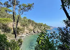 turistipercaso cavoli-vhgcd
