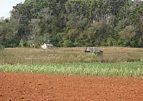 turistipercaso cayo-santa-maria-ktdr4