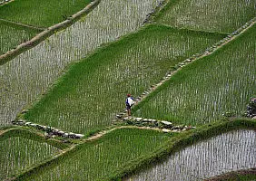 turistipercaso central-luzon-z7x4p