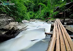 turistipercaso chiang-mai-natura-2e71v