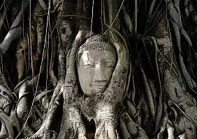 turistipercaso chiang-mai-natura-hg916