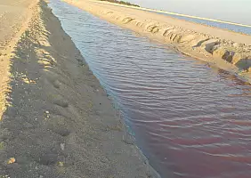 turistipercaso chiapas-m537g
