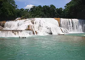 turistipercaso chiapas-w295z