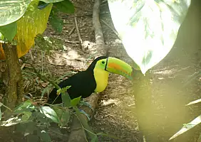 turistipercaso chiapas-y4xcf