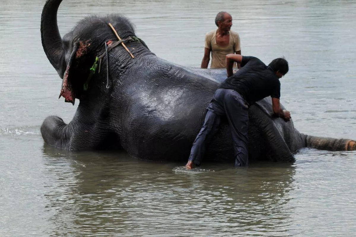Chitwan : il bagnetto