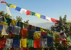 turistipercaso chitwan-rwe79