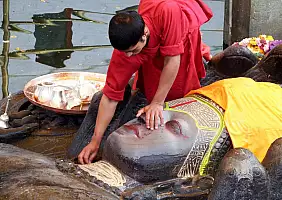 turistipercaso chitwan-xgu9y
