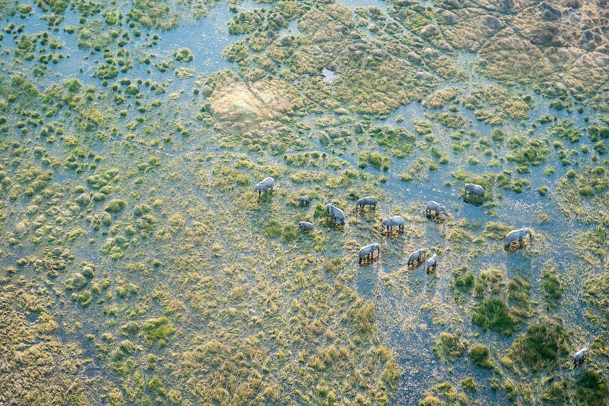 Botswana, eden in terra