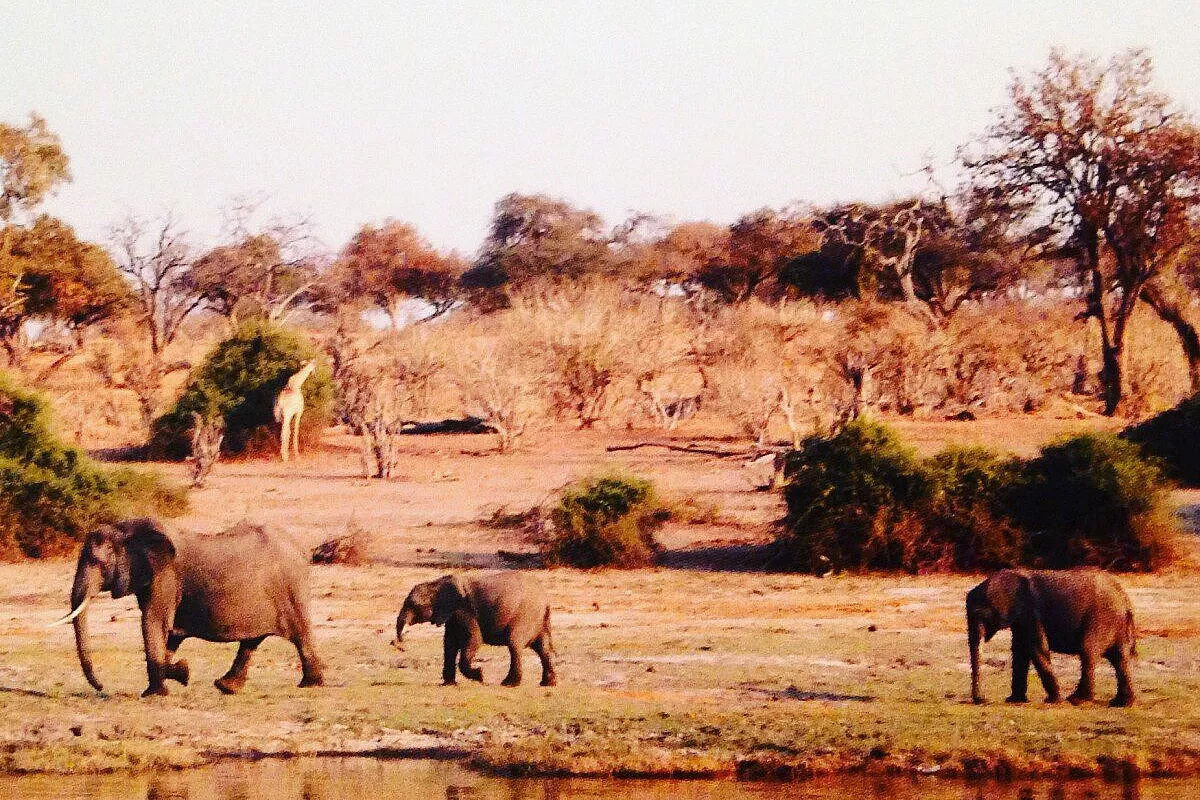 Botswana family portrait