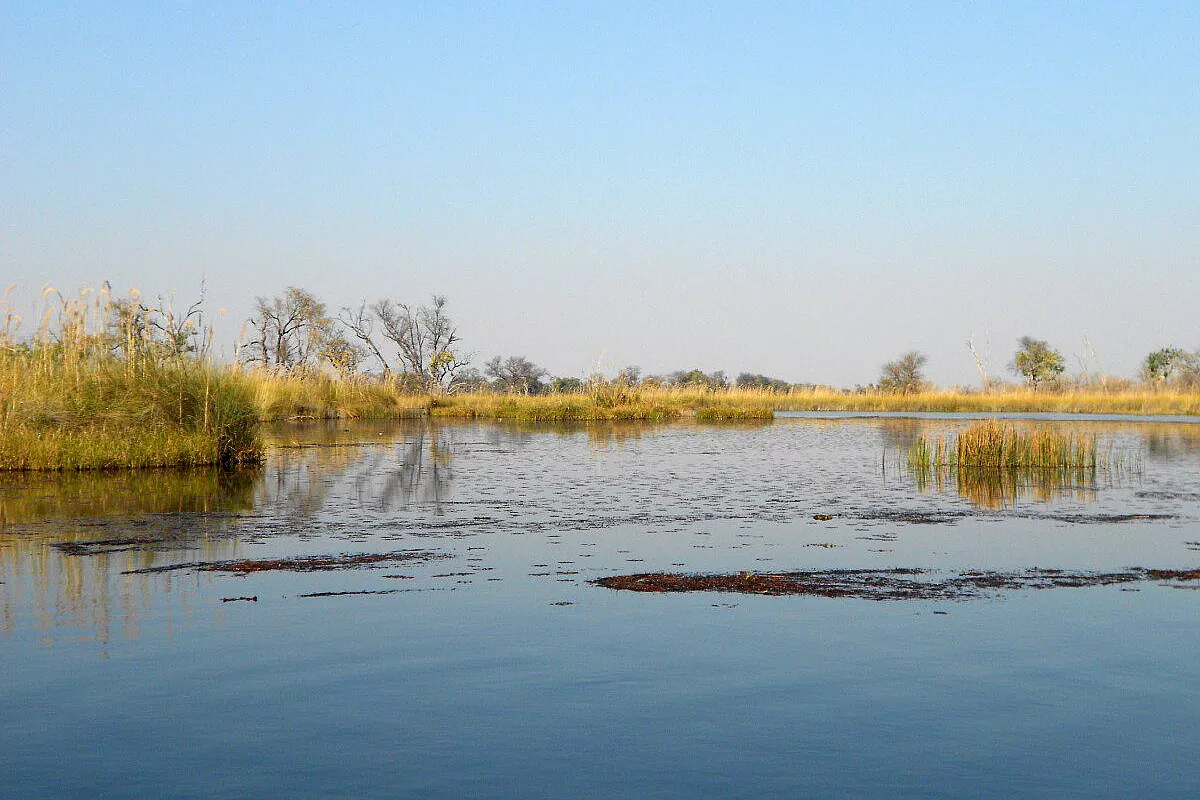 Okawango