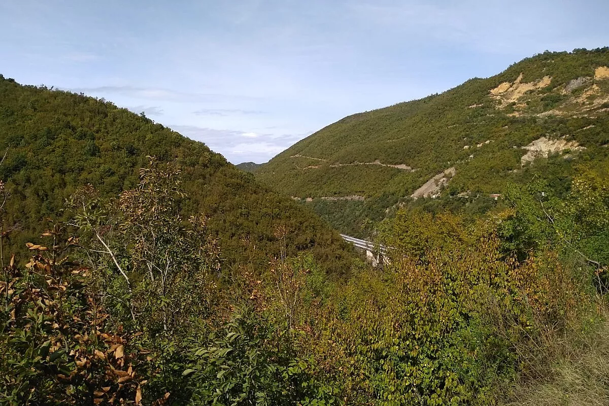 Macedonia (1)