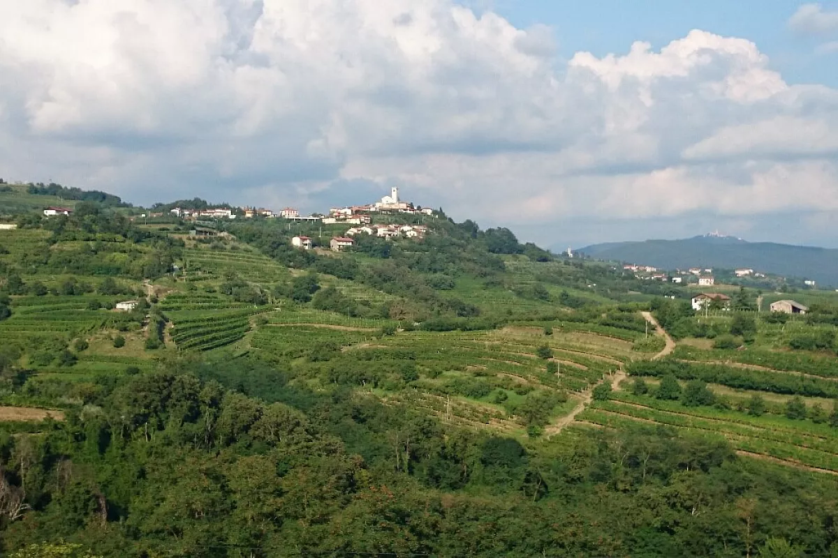 Collio sloveno