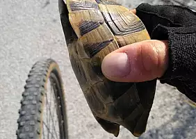 turistipercaso cicloturismo-zukc6