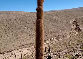 turistipercaso cile-yqs98