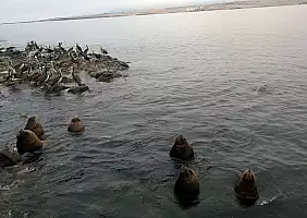 turistipercaso cile-zujjc