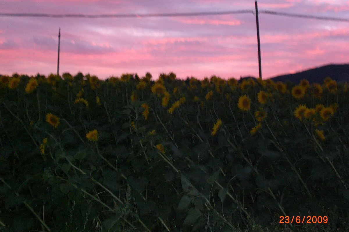 LEUCA e dintorni…LU SULE, LU MARE, LU IENTU