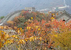 turistipercaso cina-782n1