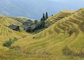turistipercaso cina-dgskr