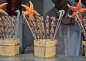 turistipercaso cina-ms2bb