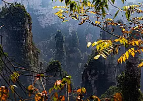 turistipercaso cina-wfht7