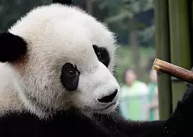 turistipercaso cina-ybxk9