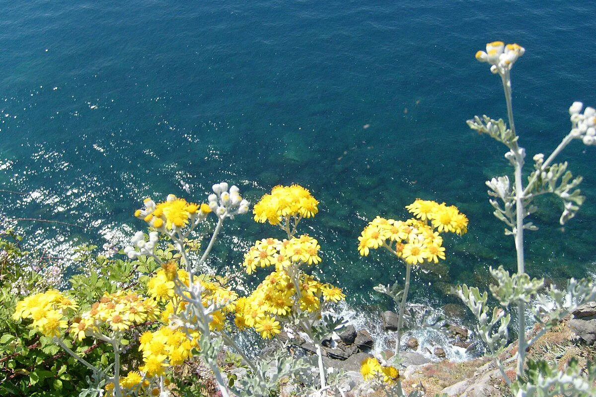 Tra la natura delle Cinque Terre!