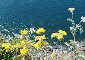 turistipercaso cinque-terre-quartiere-yd8w7