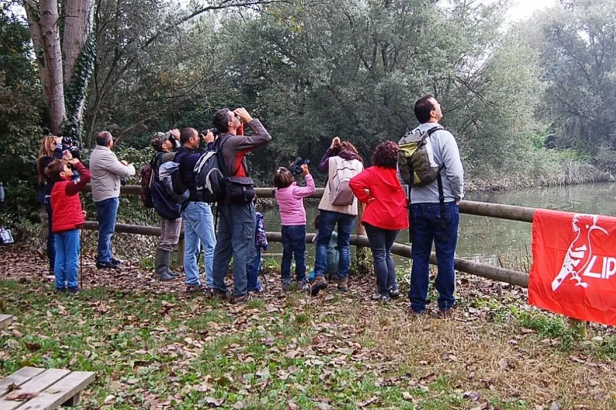 Birdwatching in tutta Italia