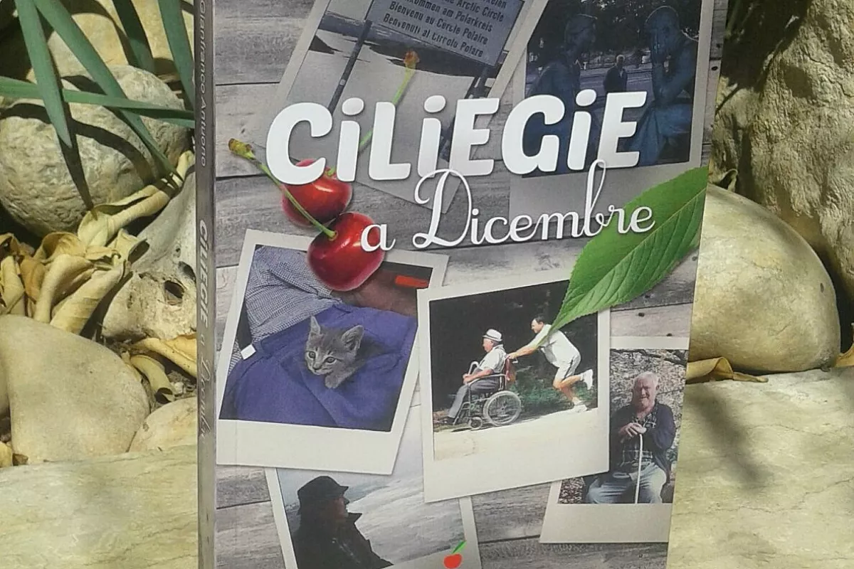 “Ciliegie a dicembre”, una storia di viaggi e di amicizia