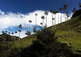 turistipercaso colombia-4n7x7