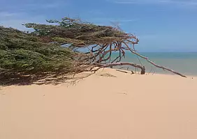 turistipercaso colombia-8qg7y
