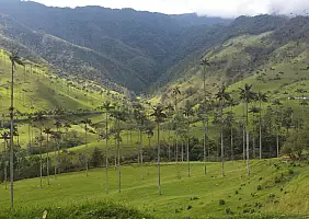 turistipercaso colombia-k6dv7