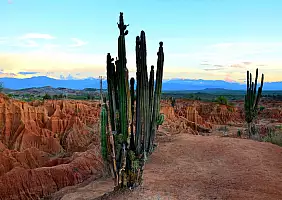turistipercaso colombia-qkh9z